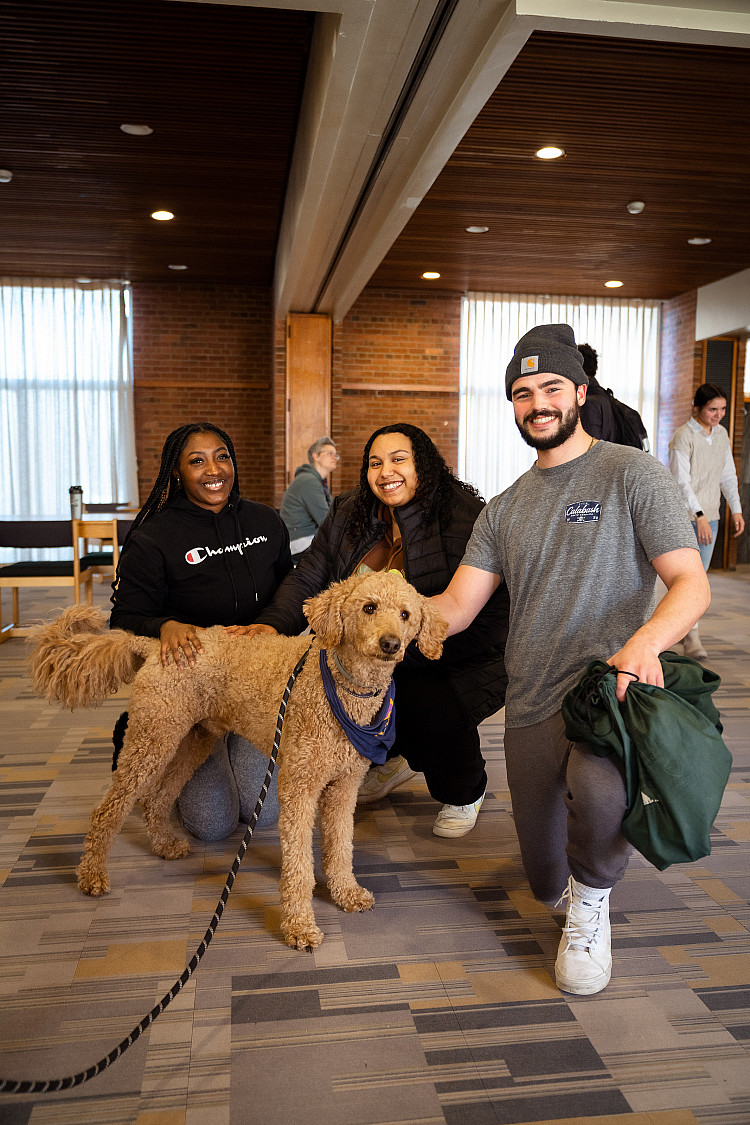 Three students petting a therapy dog at a Therapy Dog event hosted by Residential Life