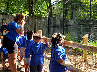 Group of children and staff looking at an animal exhibit outside