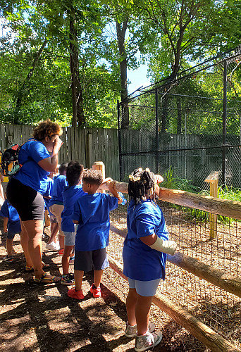 Group of children and staff looking at an animal exhibit outside