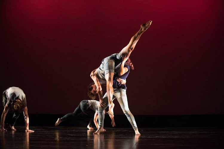 slideshow 9