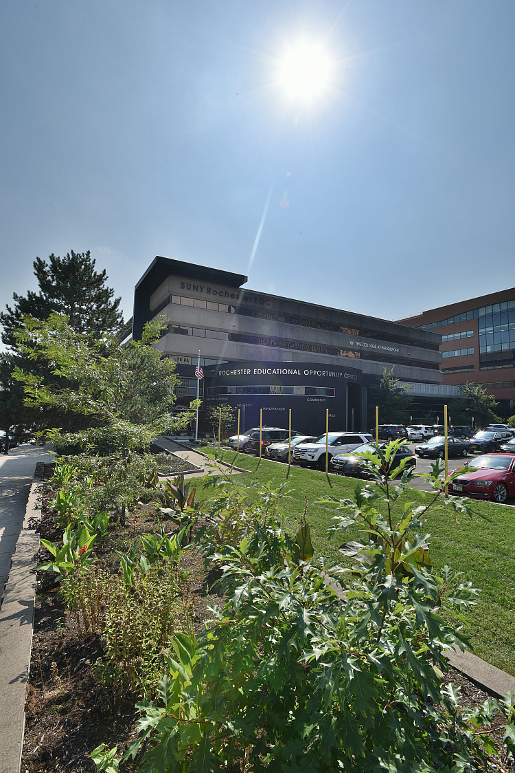 Images of Brockport Downtown